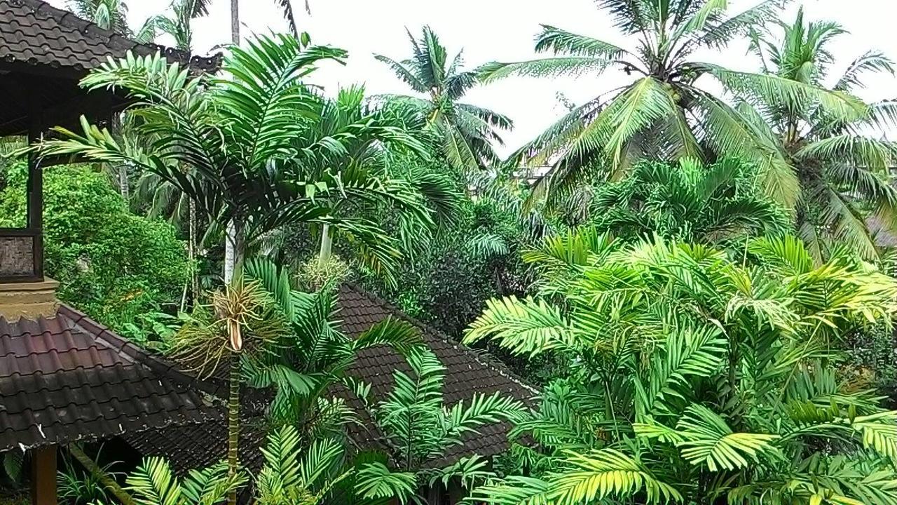 Sari Wangi Cottage Ubud Buitenkant foto