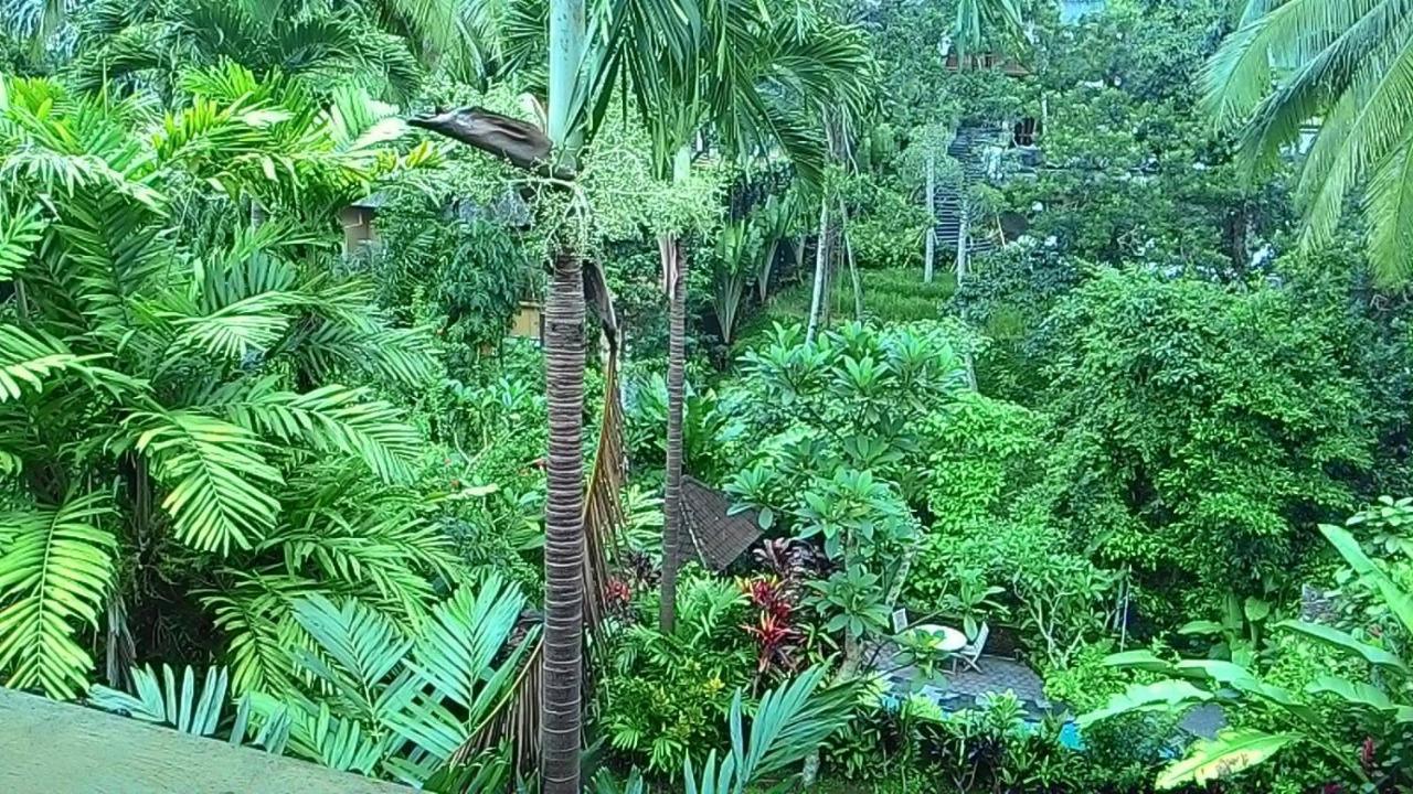 Sari Wangi Cottage Ubud Buitenkant foto