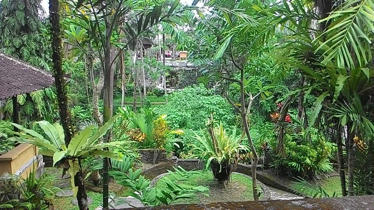 Sari Wangi Cottage Ubud Buitenkant foto